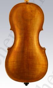 2835 Salomon Cello 1750