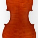 Dario Verne violin