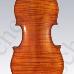 Armando Piccaliani violin