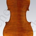 violoncello Korbinian Rieger