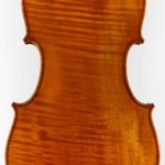 Fischer viola